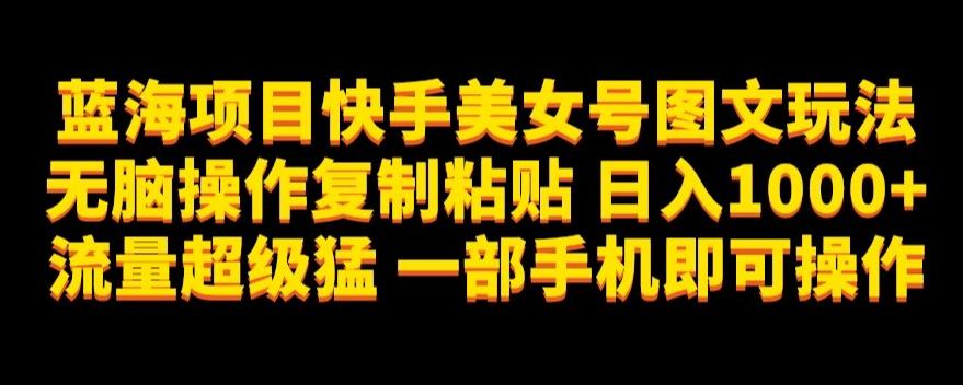 蓝海项目快手美女号图文玩法，无脑操作复制粘贴，日入1000+流量超级猛一部手机即可操作【揭秘】-网赚项目平台