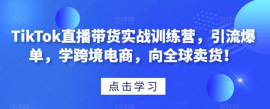 TikTok直播带货实战训练营，引流爆单，学跨境电商，向全球卖货！-网赚项目平台
