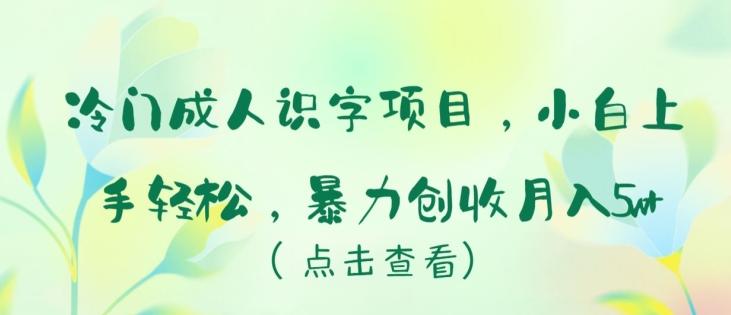 冷门成人识字项目，小白上手轻松，暴力创收月入5w+【揭秘】-网赚项目平台