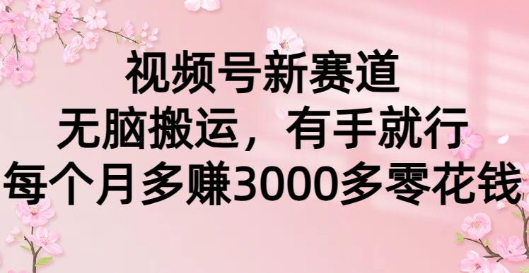 (9278期)视频号新赛道，无脑搬运，有手就行，每个月多赚3000多零花钱-网赚项目平台
