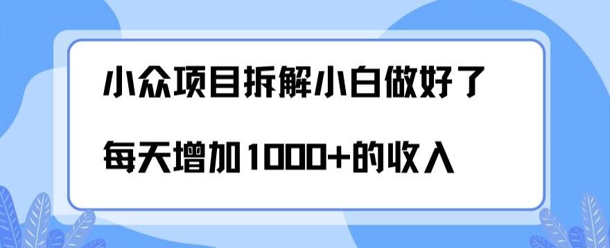 小众项目拆解，小白做好了每天可增加1000多的收入-网赚项目平台