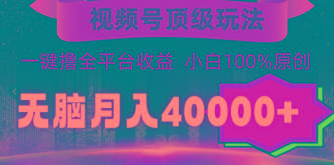 (9281期)视频号顶级玩法，无脑月入40000+，一键撸全平台收益，纯小白也能100%原创-网赚项目平台