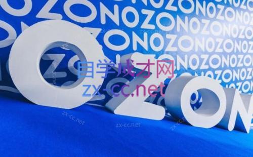 森哥·出海俄罗斯电商实操(2024)-网赚项目平台
