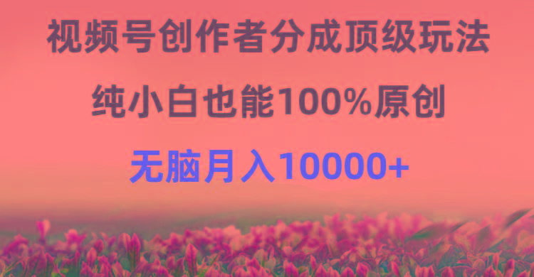 (9608期)视频号创作者分成顶级玩法，纯小白也能100%原创，无脑月入10000+-网赚项目平台