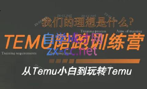 苗苗·拼多多跨境（temu）课程-网赚项目平台