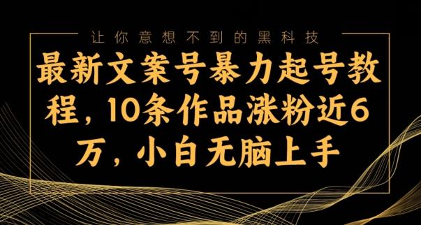 最新文案号暴力起号教程，10条作品涨粉近6万，小白无脑上手-网赚项目平台