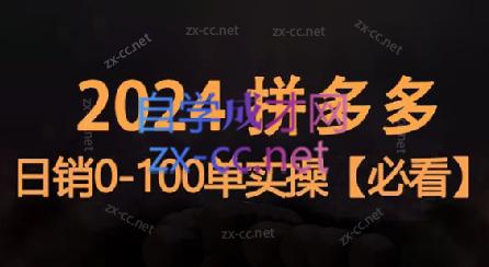 恒哥·2024拼多多日销0-100单实操-网赚项目平台