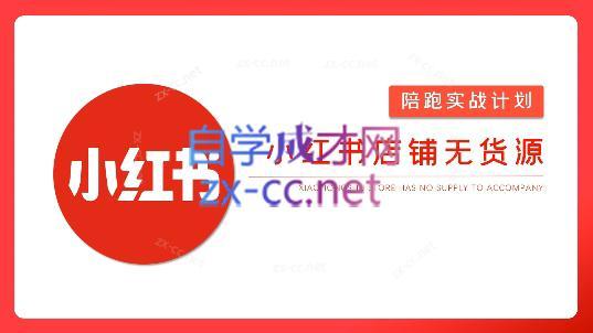 安琪·小红书店铺无货源-网赚项目平台