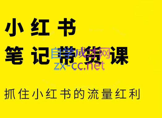 张宾·小红书笔记带货课(更新24年7月)-网赚项目平台
