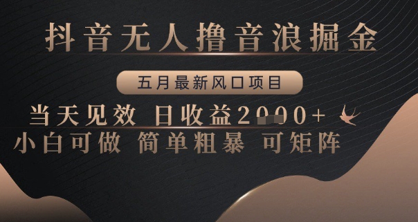 抖音无人撸音浪掘金，五月最新风口项目，当天见效，日收益多张，小白可做简单粗暴可矩阵【揭秘】-网赚项目平台