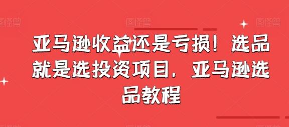 亚马逊收益还是亏损！选品就是选投资项目，亚马逊选品教程-网赚项目平台
