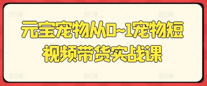 元宝宠物从0~1宠物短视频带货实战课-网赚项目平台
