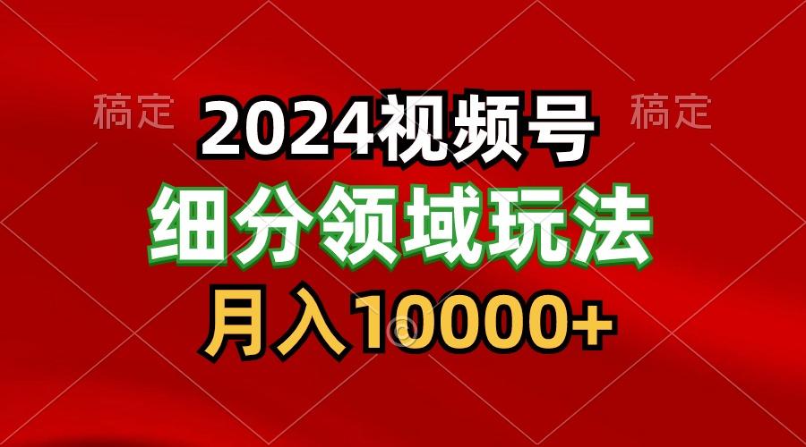 2024视频号分成计划细分领域玩法，每天5分钟，月入1W+-网赚项目平台