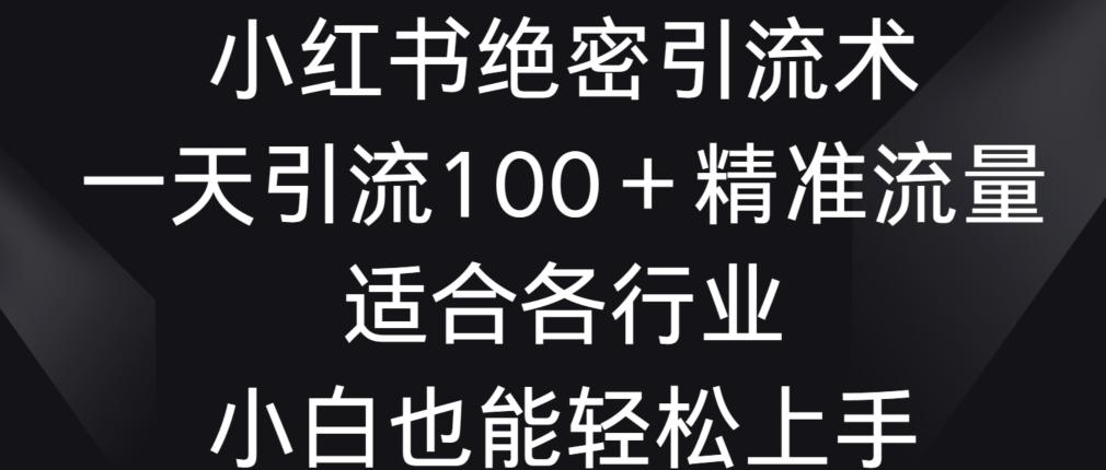 小红书绝密引流术，一天引流100+精准流量，适合各个行业，小白也能轻松上手【揭秘】-网赚项目平台
