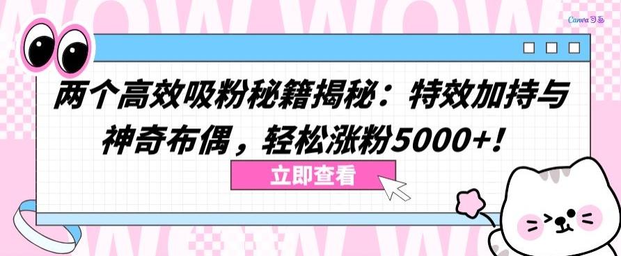 两个高效吸粉秘籍揭秘：特效加持与神奇布偶，轻松涨粉5000+【揭秘】-网赚项目平台