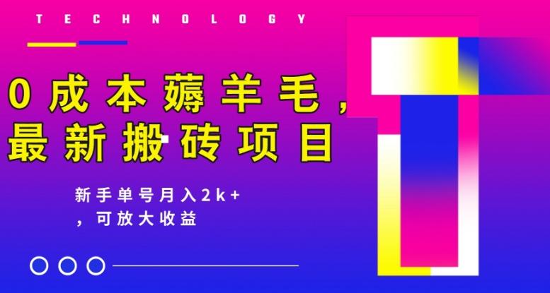 0成本薅羊毛，最新搬砖项目，新手单号月入2k+，可放大操作-网赚项目平台