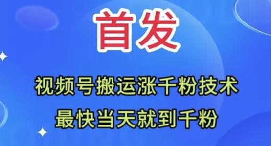 全网首发：视频号无脑搬运涨千粉技术，最快当天到千粉【揭秘】-网赚项目平台