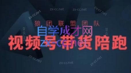 狼团联盟·2024视频号带货-网赚项目平台