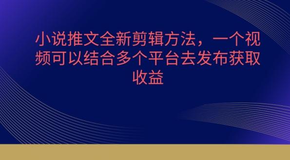 小说推文全新剪辑方法，一个视频可以结合多个平台去发布获取【揭秘】-网赚项目平台