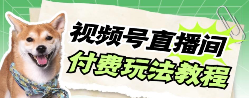 视频号美女付费无人直播，轻松日入500+【详细玩法教程】-网赚项目平台