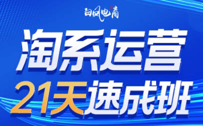 白凤电商·淘系运营21天速成班(更新5月)-网赚项目平台