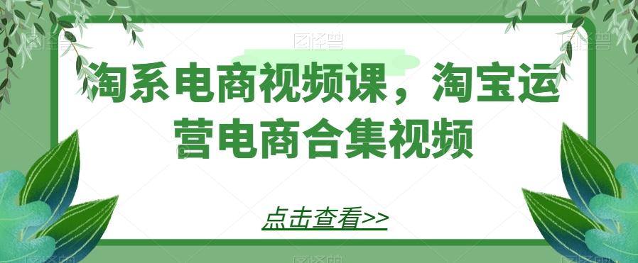 淘系电商视频课，淘宝运营电商合集视频-网赚项目平台
