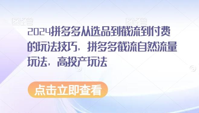 2024拼多多从选品到截流到付费的玩法技巧，拼多多截流自然流量玩法，高投产玩法-网赚项目平台