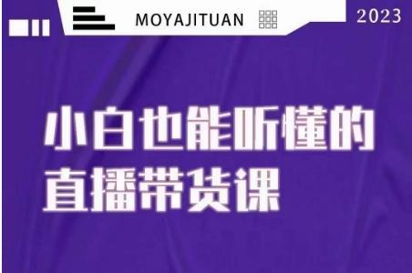 大威本威·能听懂的直播带货课，小白也能听懂，20节完整-网赚项目平台