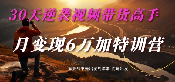 30天逆袭视频带货高手，单月变现6万加特训营-麦子甜-网赚项目平台