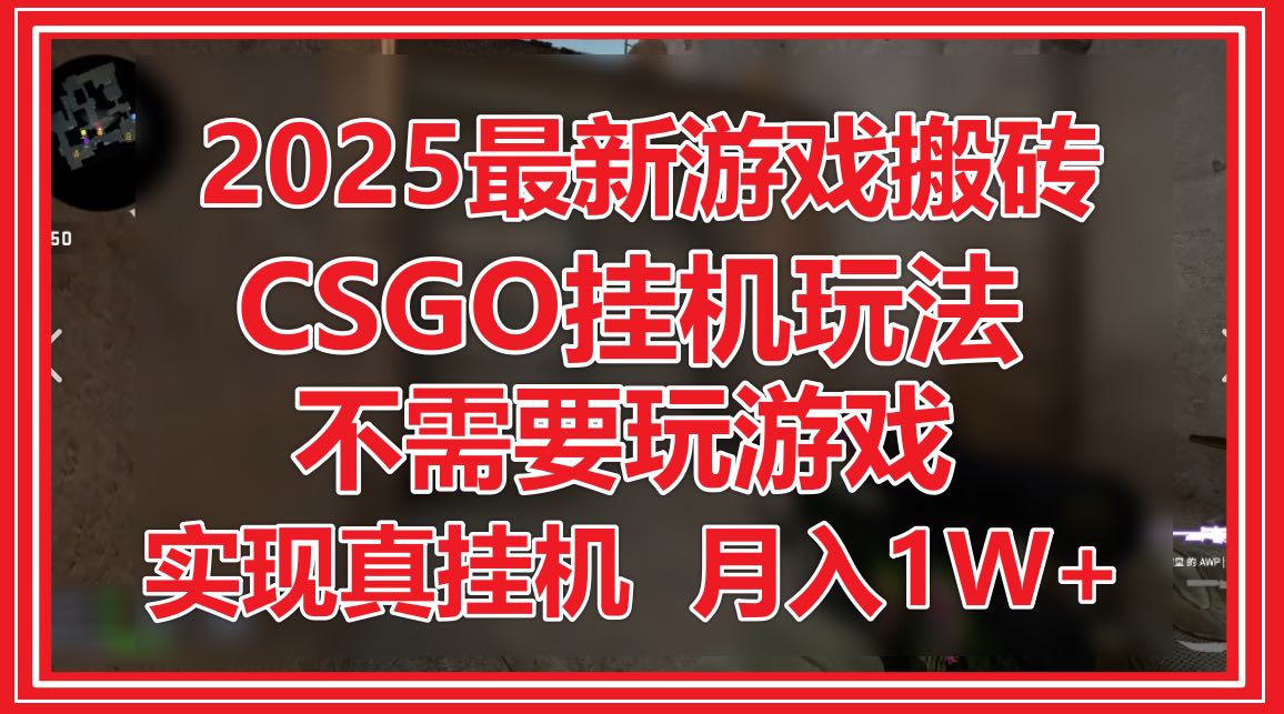 2025最新游戏搬砖，CSGO挂机，不需要玩游戏，实现真挂机，月入1W+-网赚项目平台