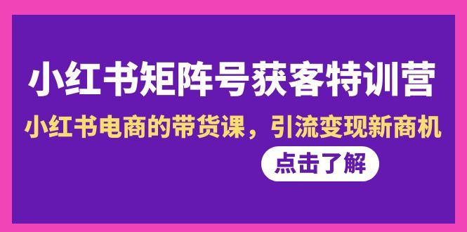 小红书-矩阵号获客特训营-第10期，小红书电商的带货课，引流变现新商机-网赚项目平台