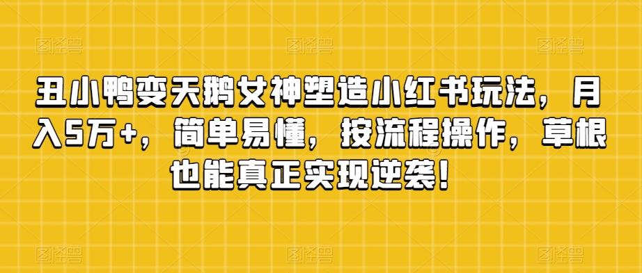 丑小鸭变天鹅女神塑造小红书玩法，月入5万+，简单易懂，按流程操作，草根也能真正实现逆袭！-网赚项目平台