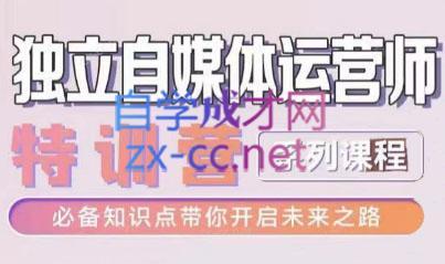 博老师·2024独立自媒体运营师特训营-网赚项目平台