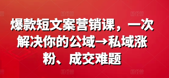 爆款短文案营销课，一次解决你的公域→私域涨粉、成交难题-网赚项目平台