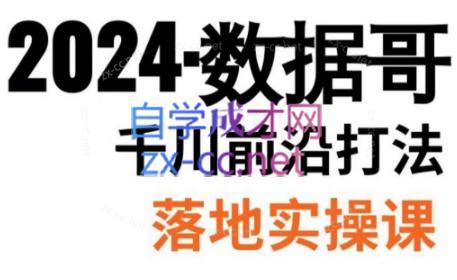 数据哥·2024年千川前沿打法落地实操课-网赚项目平台
