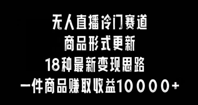 无人直播冷门赛道，商品形式更新，18种变现思路，一件商品赚取收益10000+【揭秘】-网赚项目平台