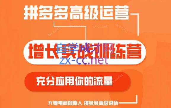 大麦老师·拼多多单品爆款打造课程(更新6月)-网赚项目平台