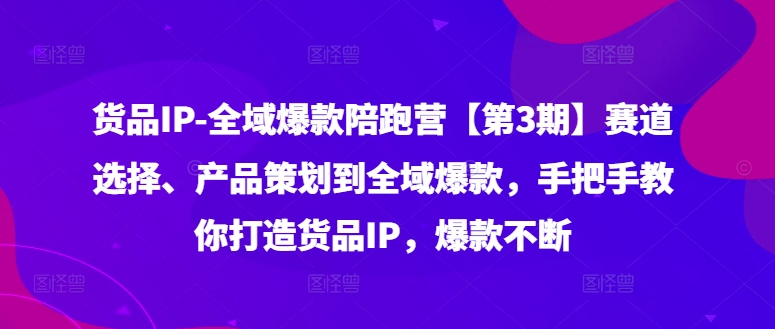 货品IP全域爆款陪跑营【第3期】赛道选择、产品策划到全域爆款，手把手教你打造货品IP，爆款不断-网赚项目平台