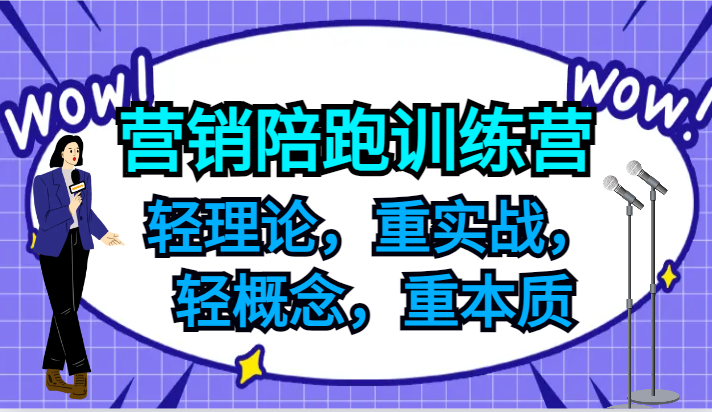 营销陪跑训练营，轻理论，重实战，轻概念，重本质，适合中小企业和初创企业的老板-网赚项目平台