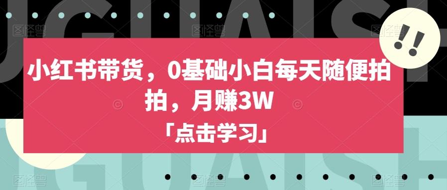 小红书带货，0基础小白每天随便拍拍，月赚3W【揭秘】-网赚项目平台