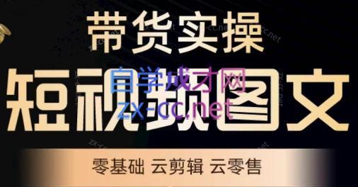 鑫哥·2024零基础短视频带货实操营-网赚项目平台