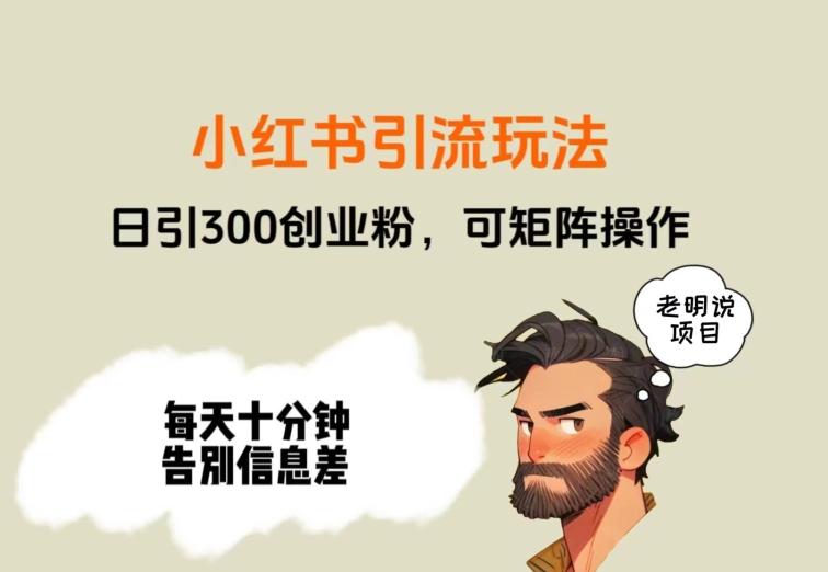 靠小红书视频日印300粉，两分钟一个视频轻松矩阵-网赚项目平台