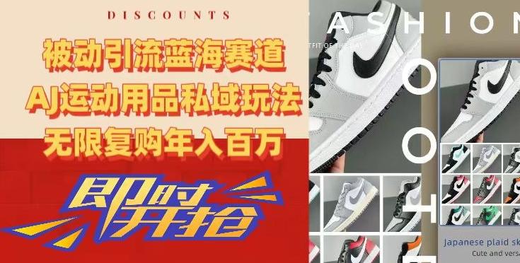 被动引流蓝海赛道，AJ运动用品私域玩法，无限复购年入百万【揭秘】-网赚项目平台