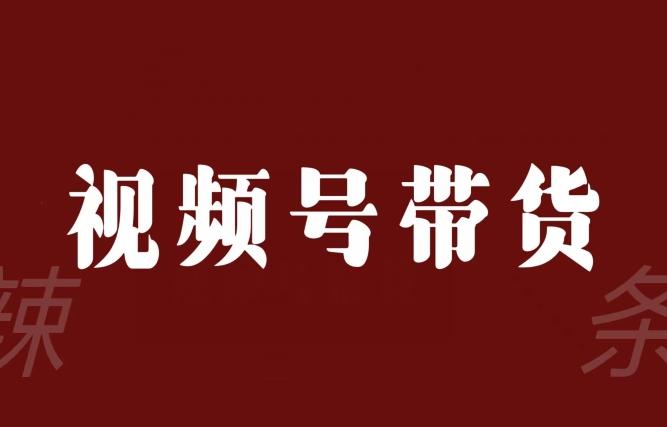 视频号带货联盟，赚信息差的带货钱，只需手机随时随地都可以做！-网赚项目平台