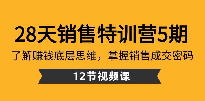 28天销售特训营5期：了解赚钱底层思维，掌握销售成交密码（12节课）-网赚项目平台