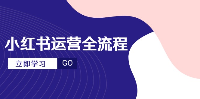 小红书运营全流程，爆款选题文案，视频制作技巧，进阶达人宝典-网赚项目平台