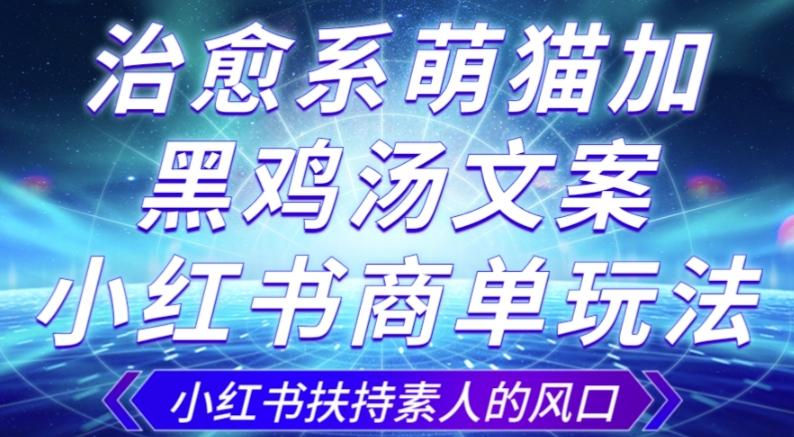 治愈系萌猫加+黑鸡汤文案，小红书商单玩法，3~10天涨到1000粉，一单200左右-网赚项目平台