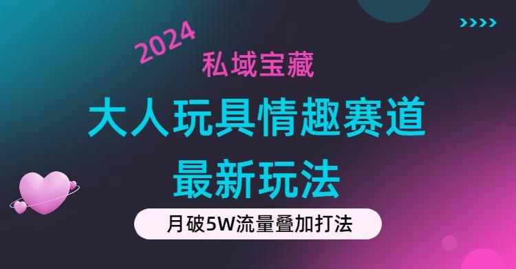 私域宝藏：大人玩具情趣赛道合规新玩法，零投入，私域超高流量成单率高-网赚项目平台