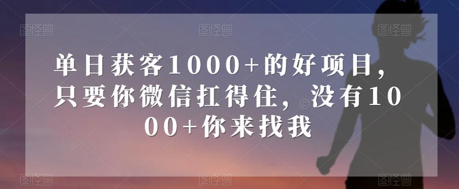 单日获客1000+的好项目，只要你微信扛得住，没有1000+你来找我【揭秘】-网赚项目平台