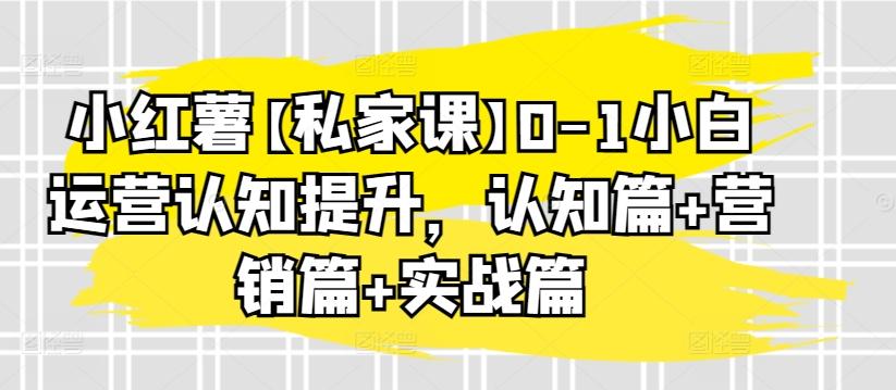 小红薯【私家课】0-1小白运营认知提升，认知篇+营销篇+实战篇-网赚项目平台